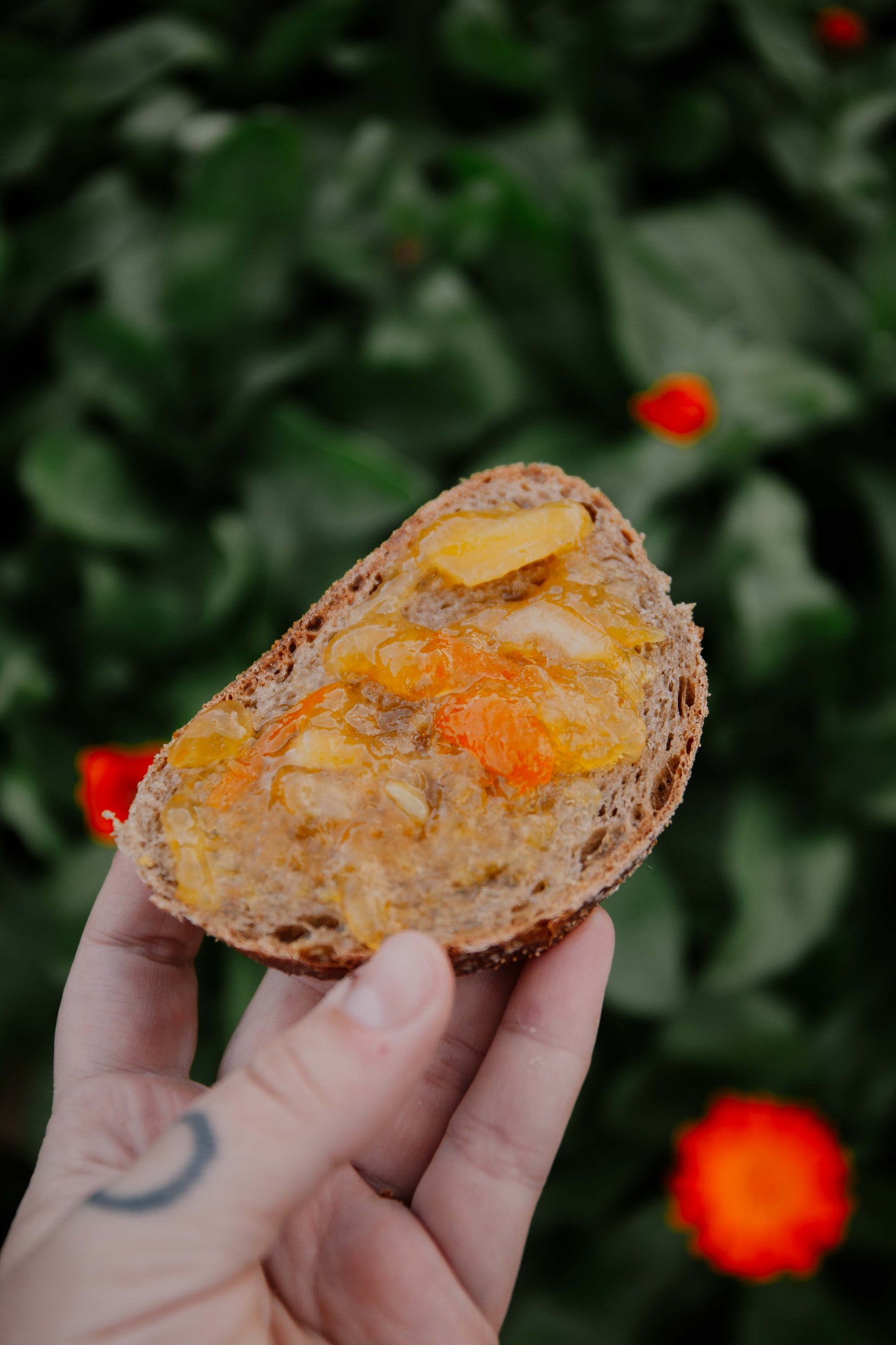 Bush marmalade - Organically grown mixed citrus marmalade