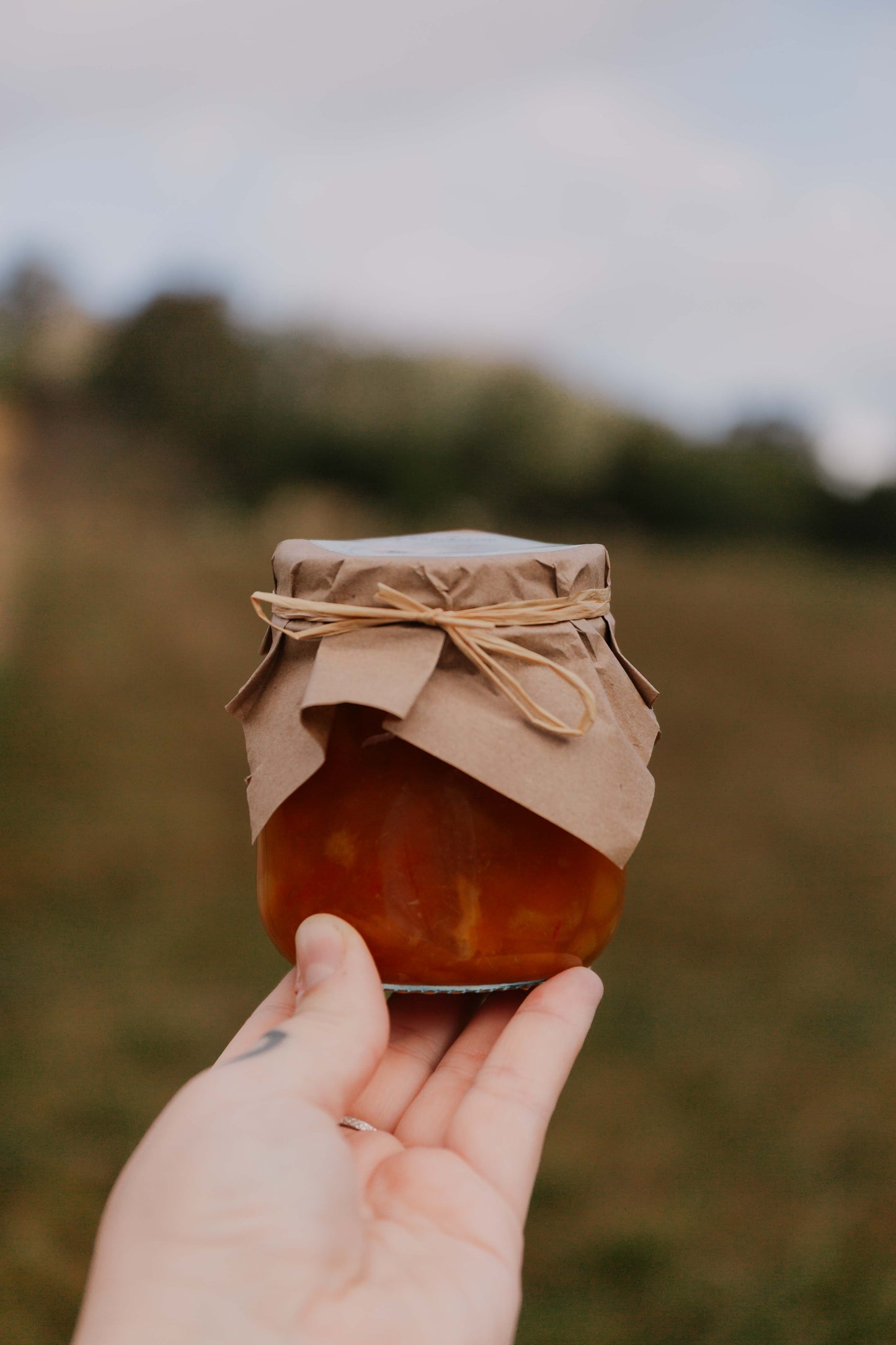 Bush marmalade - Organically grown mixed citrus marmalade