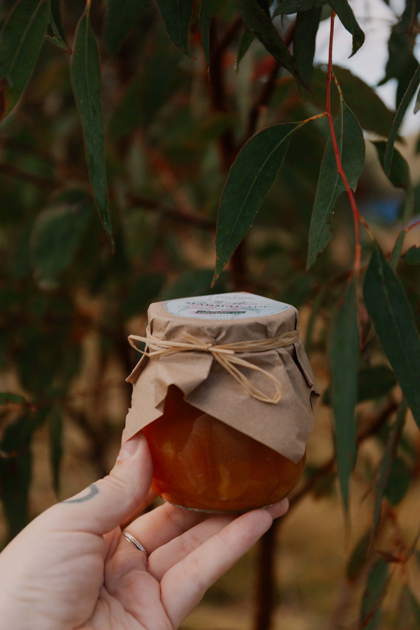 Bush marmalade - Organically grown mixed citrus marmalade
