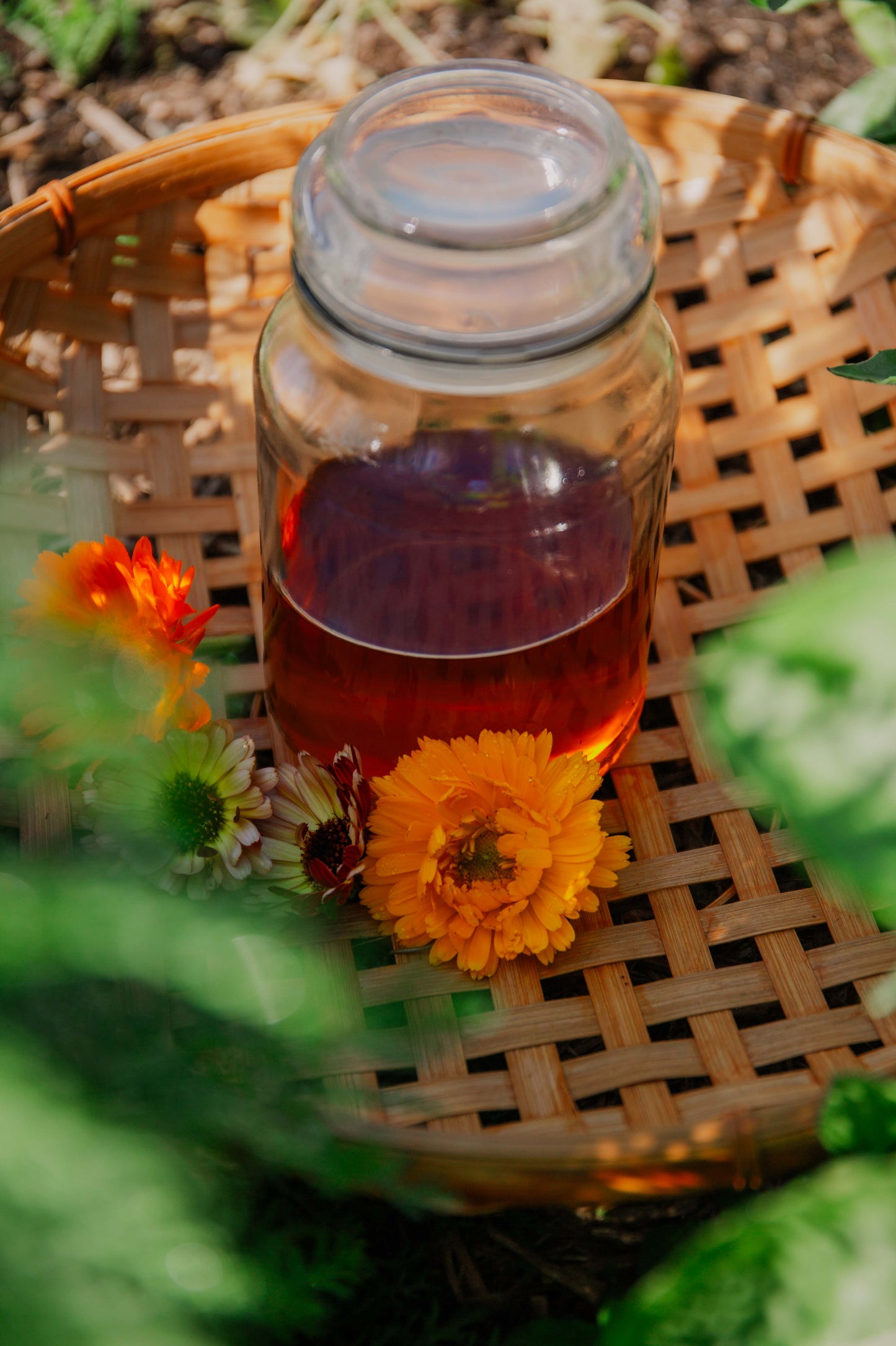 Calendula oil with Rosehip and Vitamin E