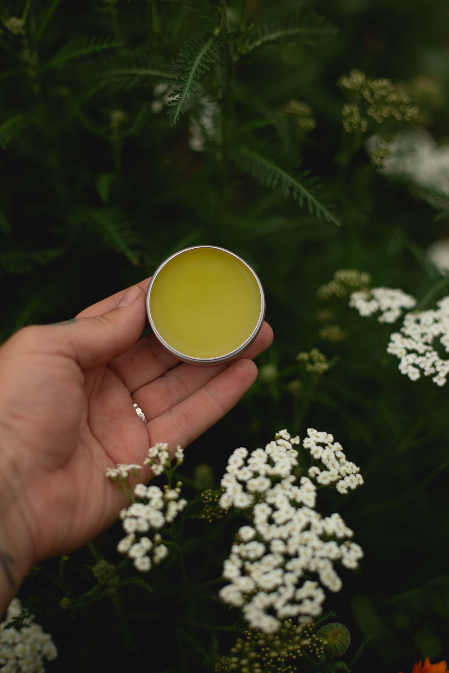 Yarrow Salve - Soldiers Woundwort
