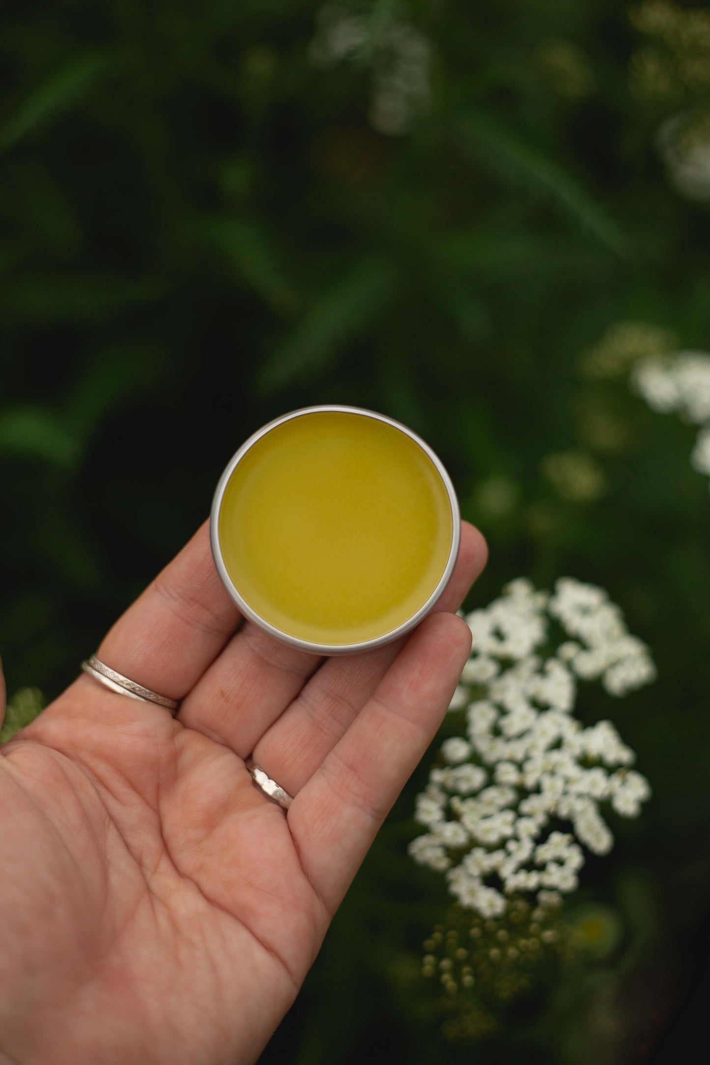Yarrow Salve - Soldiers Woundwort
