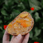 Bush marmalade - Organically grown mixed citrus marmalade