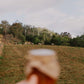 Bush marmalade - Organically grown mixed citrus marmalade
