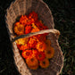 Calendula Ointment