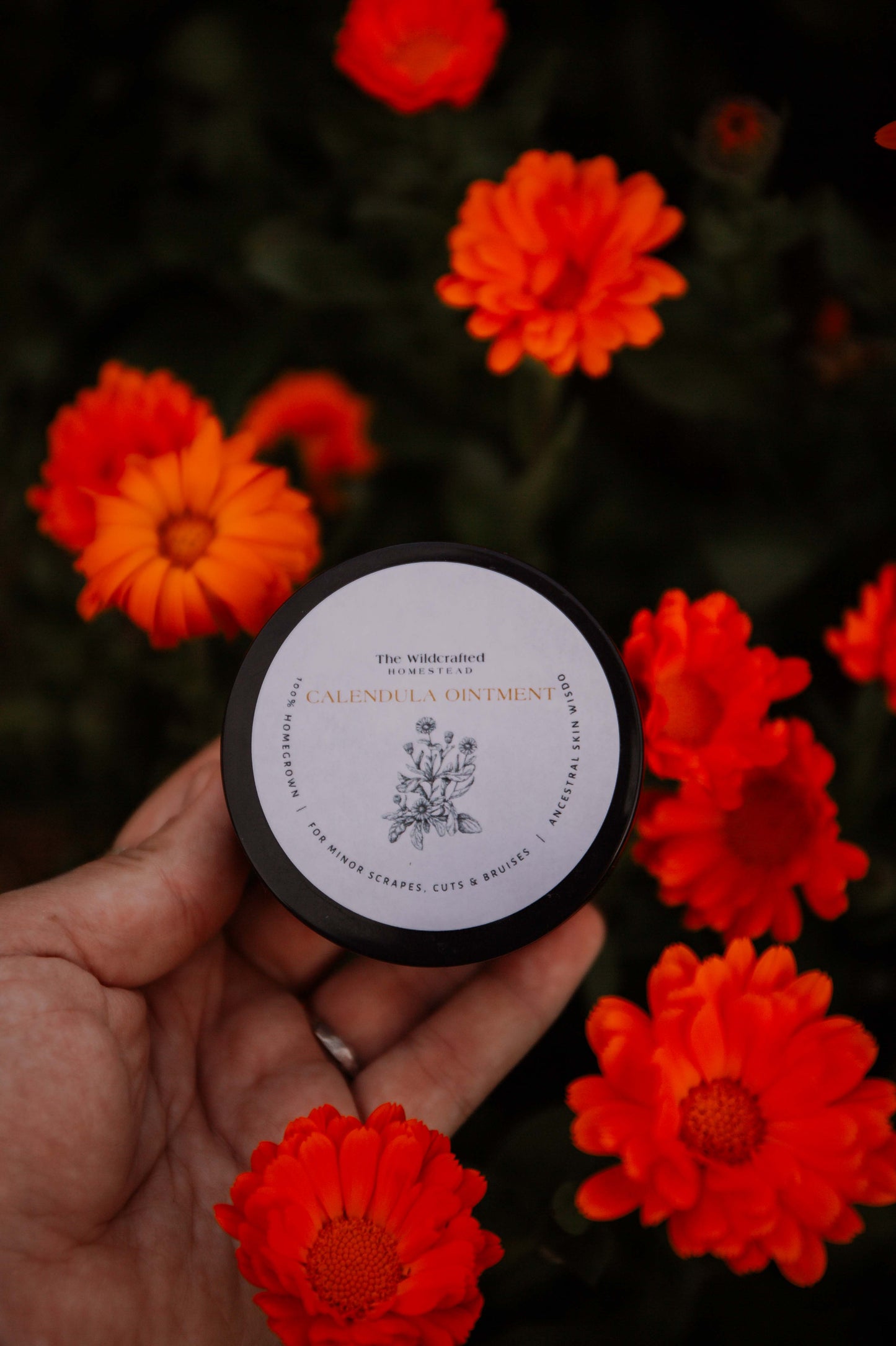 Calendula Ointment