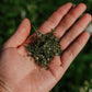 Yarrow: Dried herb