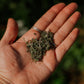 Oregano: Dried herb