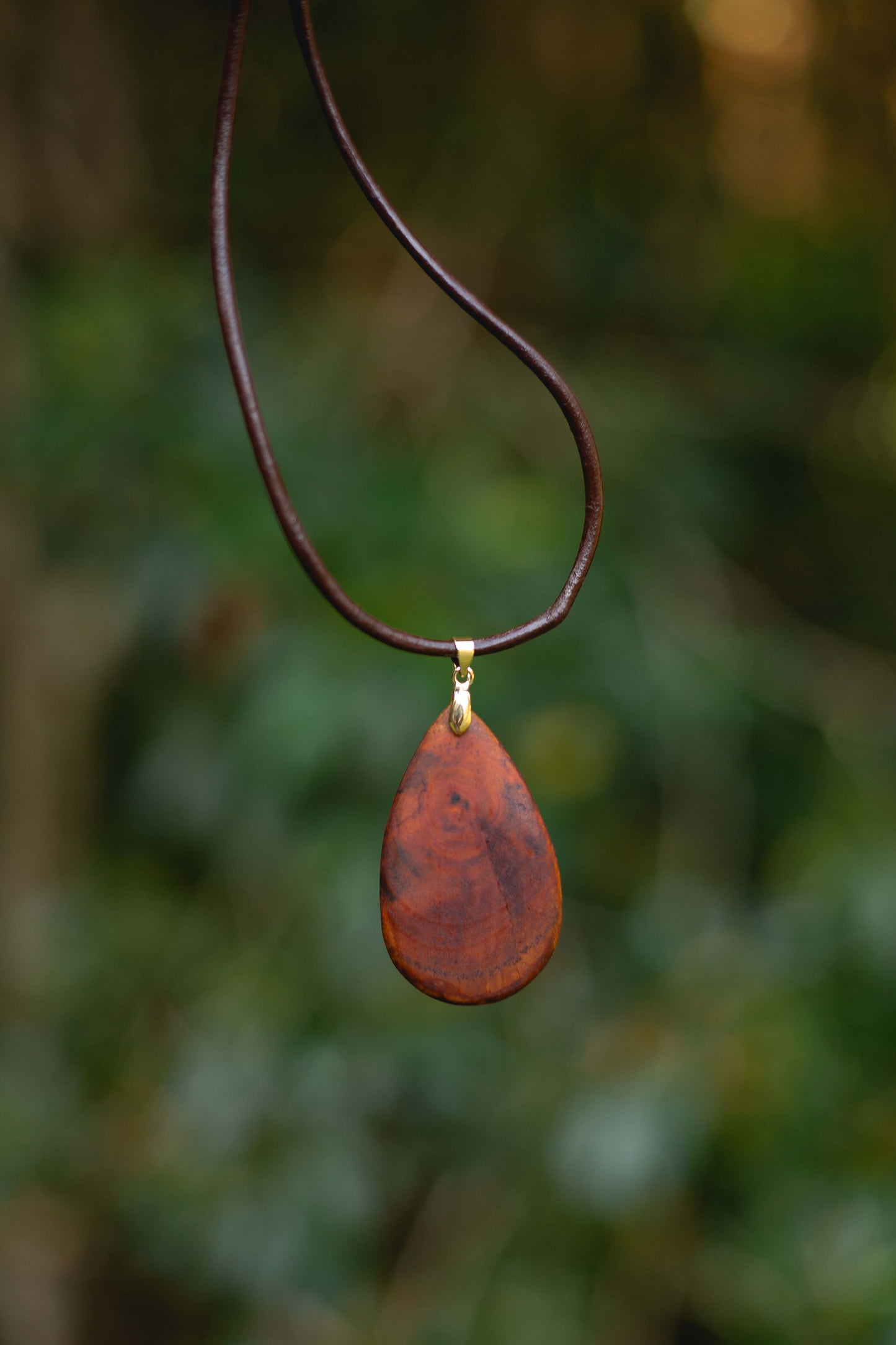 Hand-carved eucalyptus tear drop slice pendant on gold-plated bail