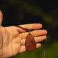 Hand-carved eucalyptus tear drop slice pendant on gold-plated bail