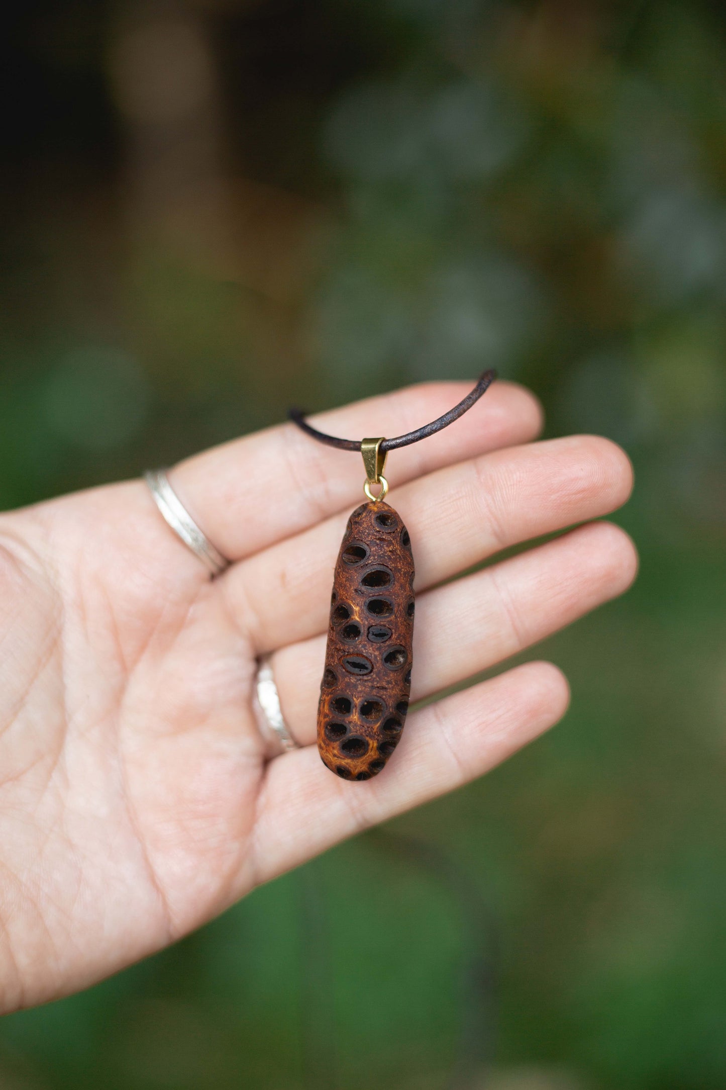Banksia pod necklace