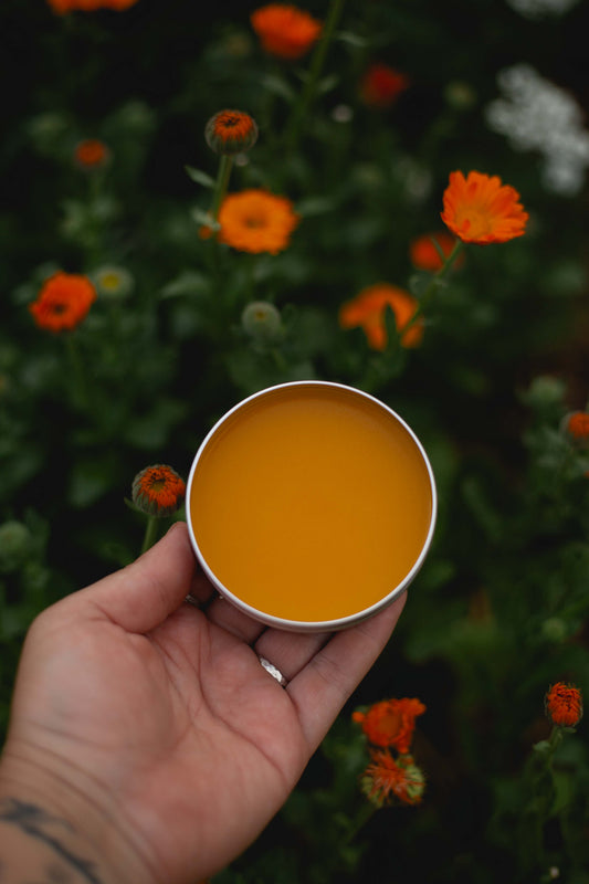 Calendula Ointment