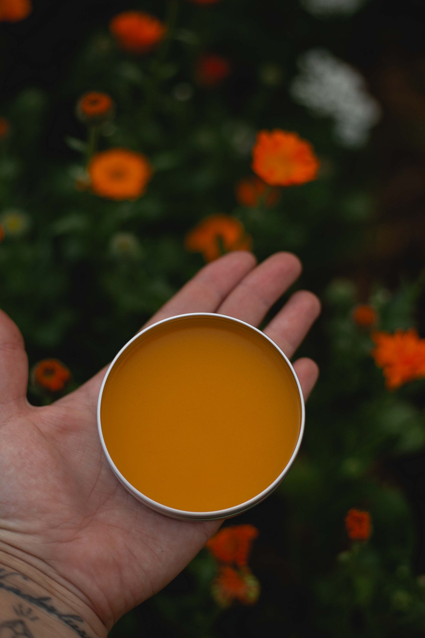 Calendula Ointment