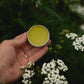 Yarrow Salve - Soldiers Woundwort