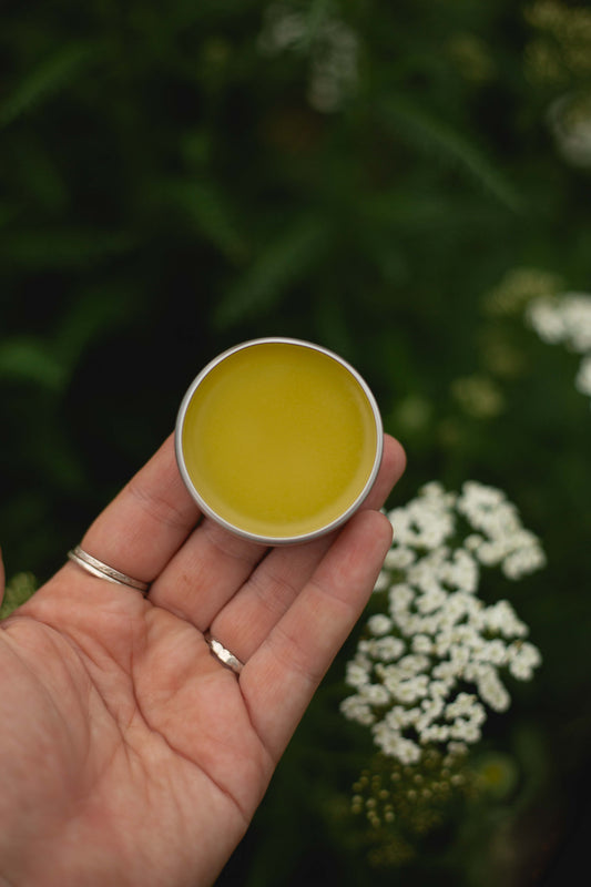 Yarrow Salve - Soldiers Woundwort