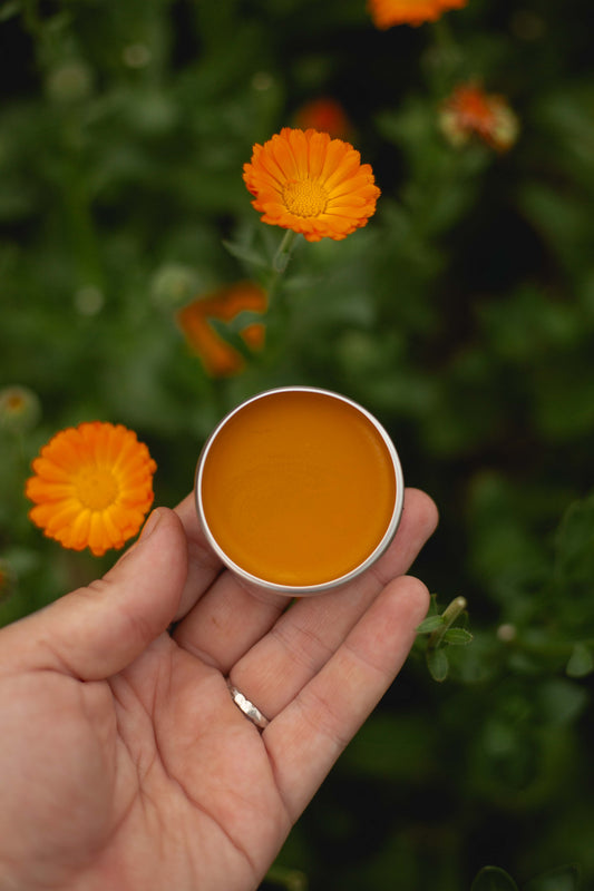 Calendula Ointment (small)