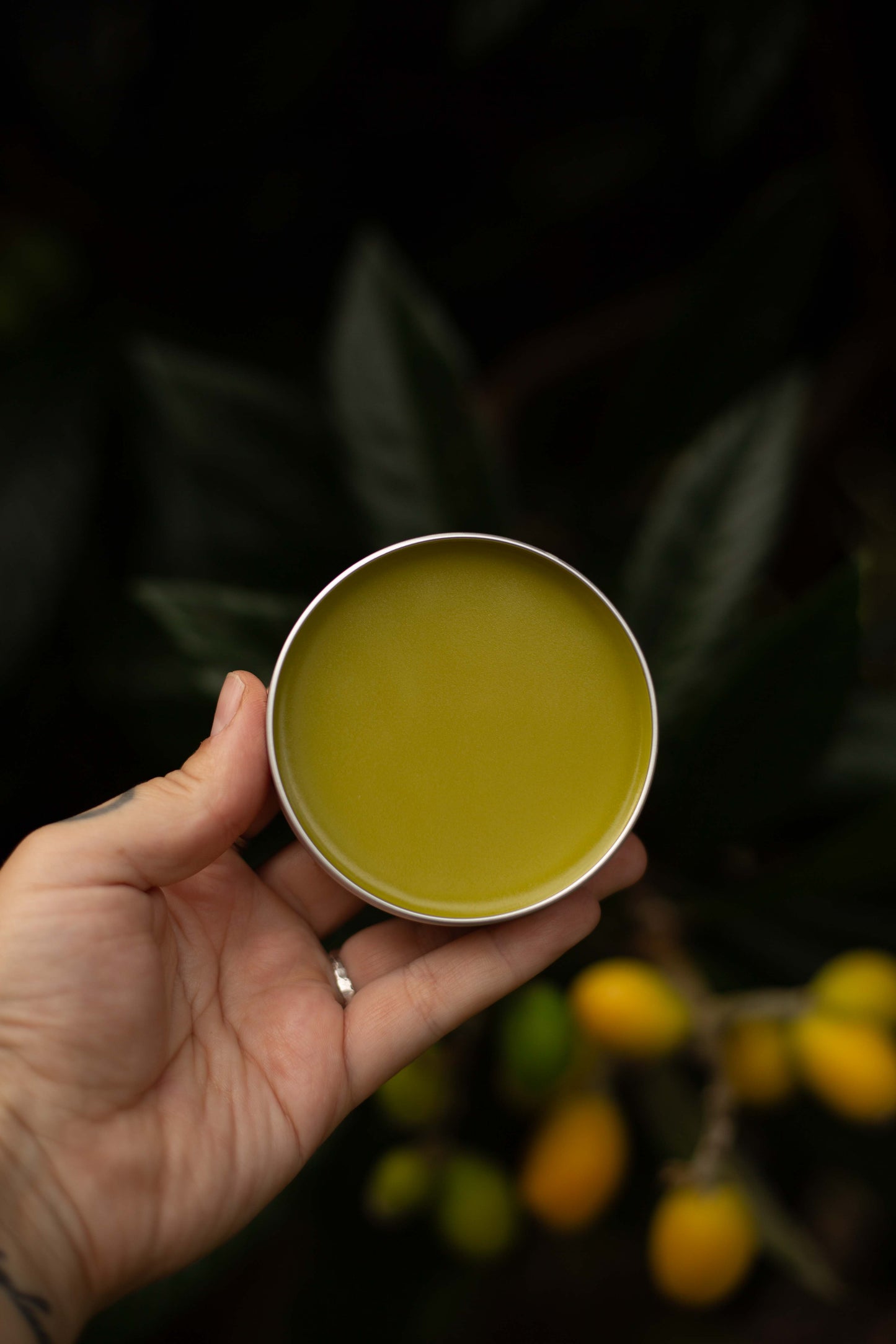 The Original Loquat Aging Ointment